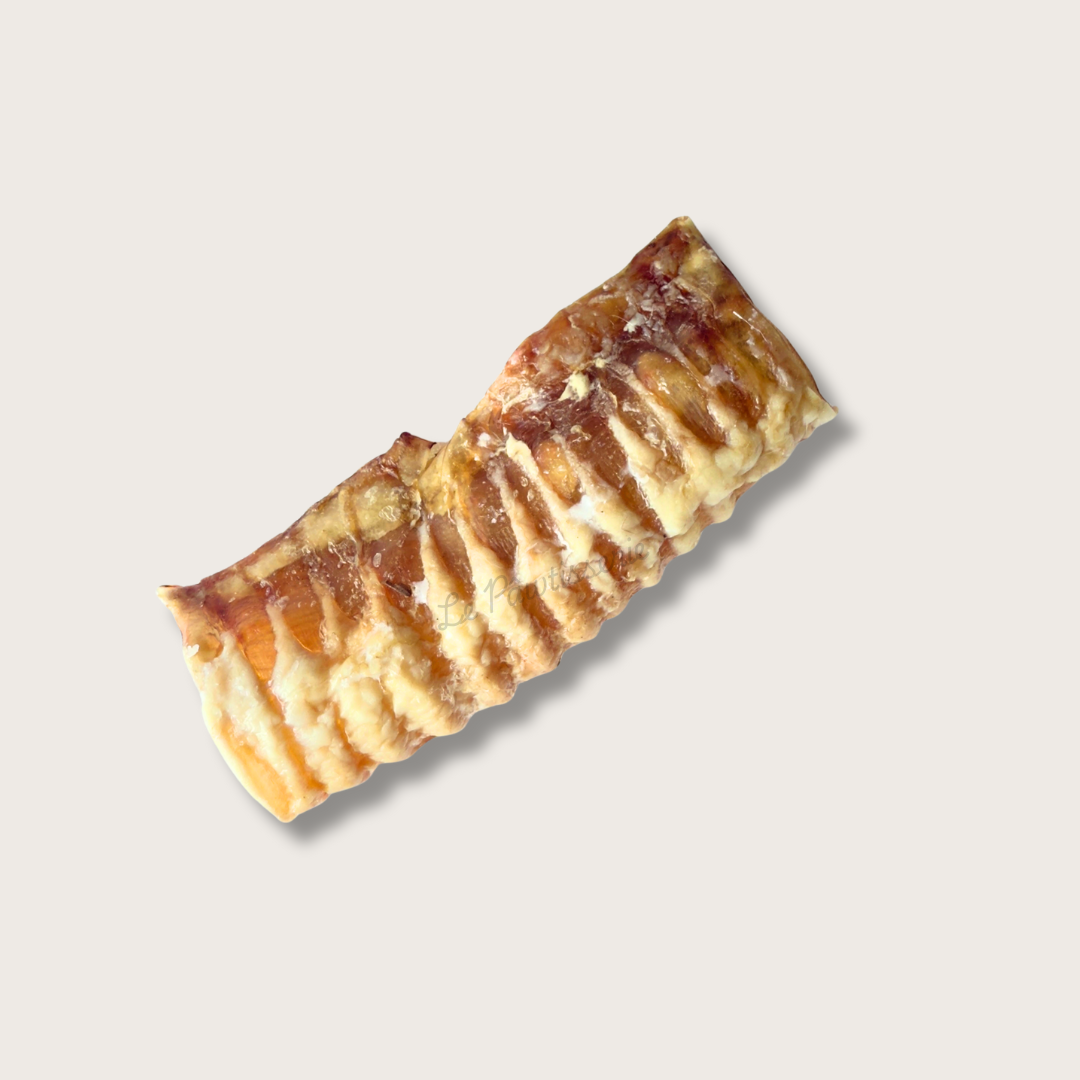 Dehydrated Cow Trachea