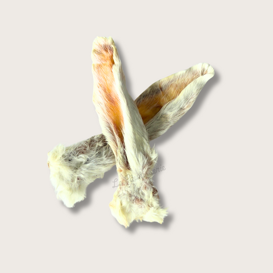 Dehydrated Rabbit Ears